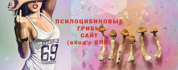 дживик Новозыбков