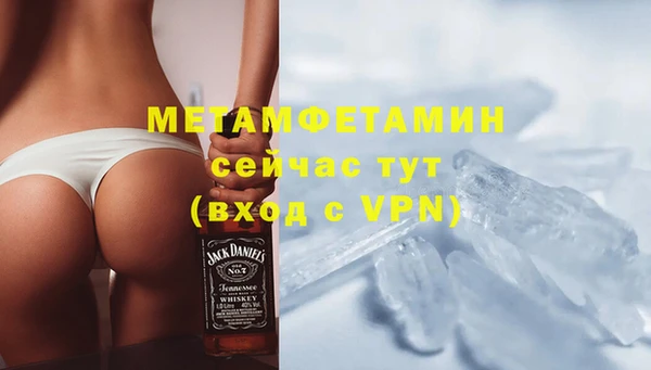 прущие грибы Нефтегорск
