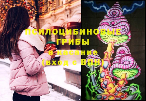 стаф Нефтекумск