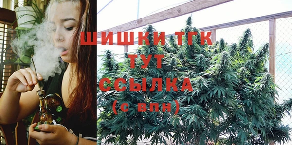 дживик Новозыбков